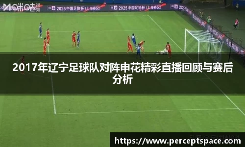 2017年辽宁足球队对阵申花精彩直播回顾与赛后分析